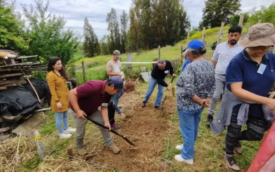 Proyecto TRES instala la Restauración Agroecológica en tres regiones del país durante su primer año de trabajo