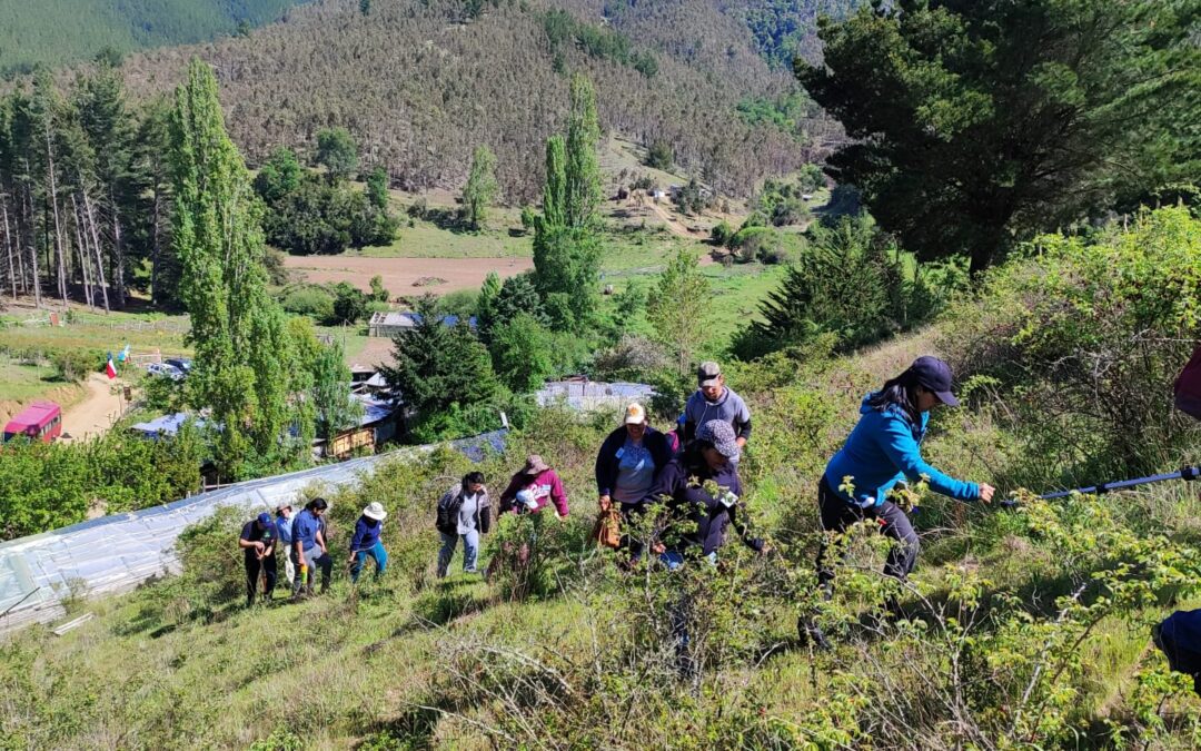 Comunidades agrícolas y restauración: Un camino posible ante la crisis global