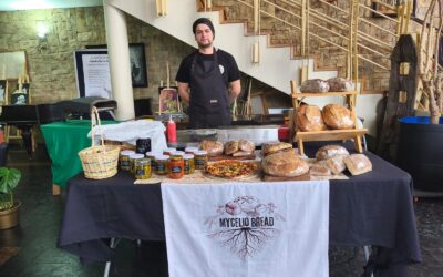 Raíces de Otoño: Virtuosos encuentro agroecológico intercomunal “Folil Rimü” en Malleco