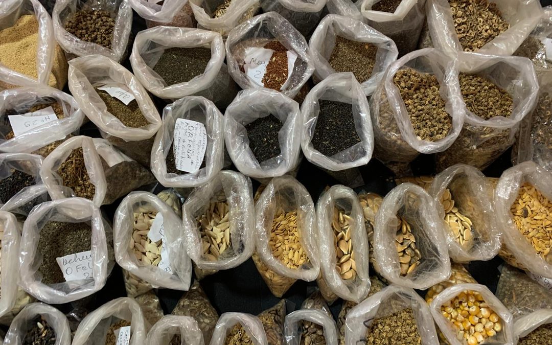 Conocimiento Tradicional: Restaurar con saberes locales